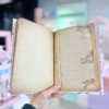 پلنر طرحدار کیوت رایا