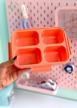 ظرف غذای کاپی بارا کیوت گلبهی