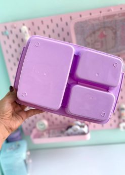 ظرف غذای کورومی در شفاف یاسی