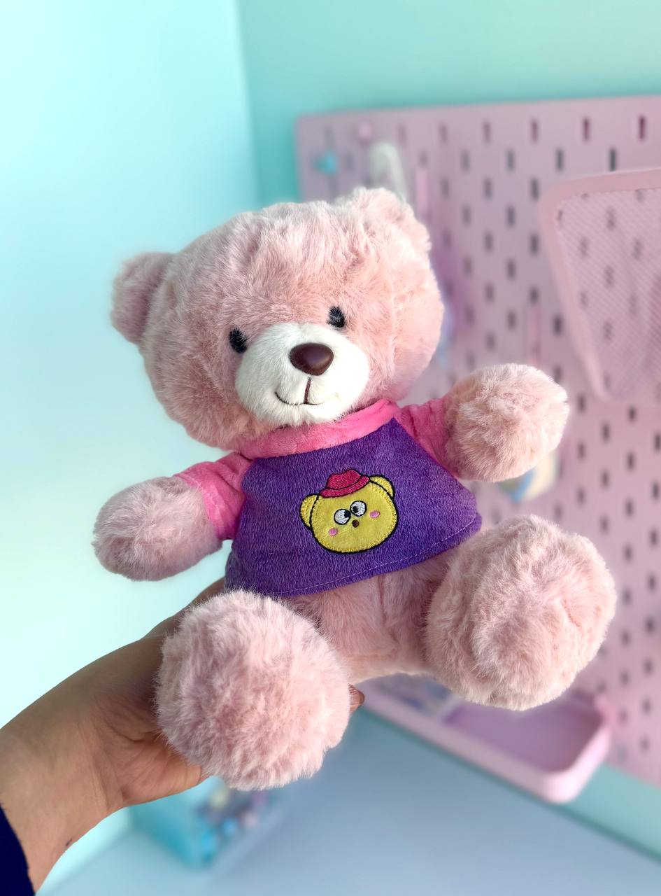 عروسک پولیشی تدی نشسته صورتی