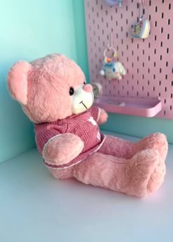 عروسک تدی نشسته پلیور صورتی