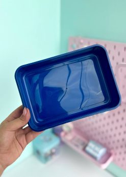 ظرف غذای در شفاف تدی آبی