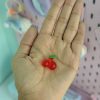 پینکولو آویزدار کریستالی میوه