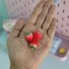 آویز توت فرنگی کوچک