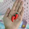 پینکولو آویزدار چیلی