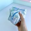 کیف لوازم آرایش پینترستی راه راه سبزآبی