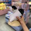 جاقلمی سفینه فضایی کرم